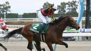 東西金杯で万馬券が出やすいのはどっち？ 過去30年の高配当をチェック