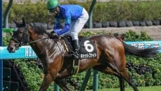 中山マイルのレコードホルダーがフェアリーS参戦 阪神JF10着から巻き返すか