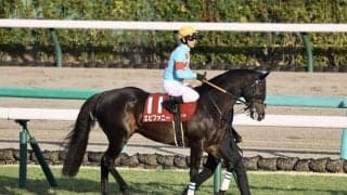 【中山金杯】ピーヒュレク騎乗、エピファニーは2枠4番へ