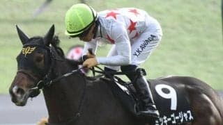 【愛知杯想定馬・騎手】ミッキーゴージャス、コスタボニータなど15頭