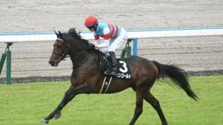 【京成杯想定馬・騎手】ジュンゴールド、バードウォッチャーなど17頭