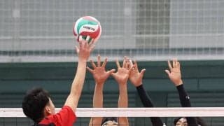 春高バレー　大阪府勢　男子・昇陽、清風、女子・金蘭会、大阪国際滝井・大阪国際そろって３回戦へ