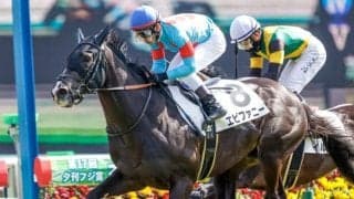 【中山金杯予想】東の幕開け飾る重賞 “Cコース使用”が予想する上でのカギに