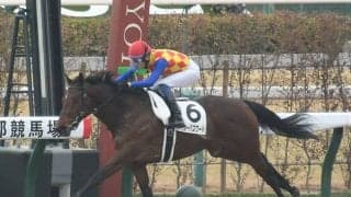 【京都4R新馬戦結果】コパノリッキー産駒テーオーパスワードが抜け出し快勝