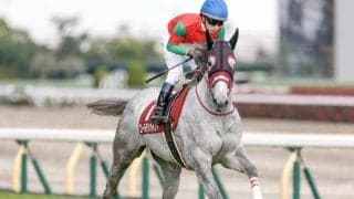中山芝は高速決着 単騎逃げゴールデンハインドの粘り込みがあるかも