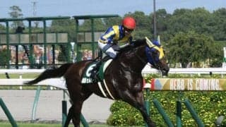 京都芝は超が付く前＆内有利 ハナ候補のセルバーグが波乱を呼ぶか