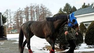 タイトルホルダーがレックススタッドに到着 菊花賞などGI・3勝