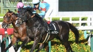 【中山金杯・馬体重】エピファニーは506kg(-6)、ボーンディスウェイは490kg(±0)