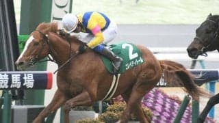 【JRA・WIN5】2024年最初のWIN5は的中49票、配当648万1930円