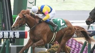 【京都金杯結果】8番人気コレペティトールが最内を突いてV！ 重賞初制覇