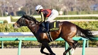 【ジュニアC】キング騎乗の良血馬、キャプテンシーが逃げ切りV