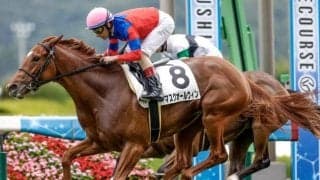 【フェアリーS予想】凡走馬に一変も!? 距離適性が波乱を呼ぶ3歳牝馬のハンデ重賞