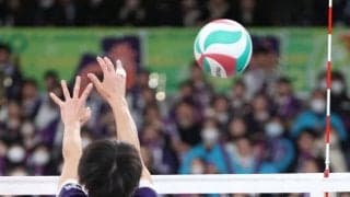 東京は男子・駿台学園、女子・下北沢成徳ともに４強入り　春高バレー