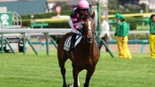 【フェアリーS予想】昨年も3連単50万超の高配当 キャリアの若い牝馬同士だけに波乱も