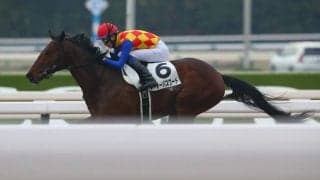 【新馬/京都4R】コパノリッキー産駒 テーオーパスワードがデビュー勝ち