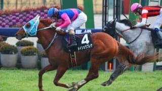 【万葉S】格上挑戦メイショウブレゲが差し切る