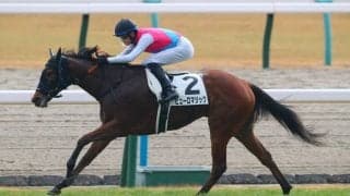 【京都6R】坂井瑠星が止まらない！断然人気ピューロマジックVで初日4勝目