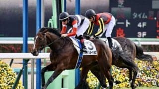 【新馬/中山6R】良血スティンガーグラスがデビュー勝ち