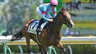 【フェアリーS・馬体重】スティールブルーは430kg(-2)、キャットファイトは446kg(+4)