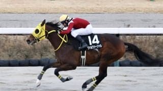 【ポルックスS】ヴァルツァーシャルがオープン初勝利