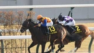 【すばるS結果】テーオーステルスが早め進出からV