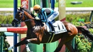 京都芝は傾向一変!? 外枠のショーマンフリートに出番あり