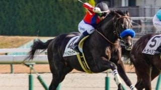 【シンザン記念予想】過去の勝ち馬にはジェンティルドンナやアーモンドアイ 出世レースとして名高い3歳重賞