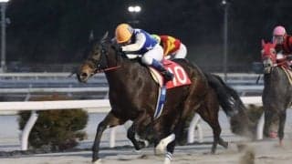 【高知・ベラトリックス特別】モンサンラファータがハナ差凌ぐ…林「手前をかえてからスムーズに」