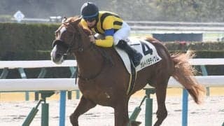 【京都5R新馬戦結果】エピファネイア産駒オルトパラティウムが3馬身半差V