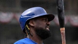 メジャー108発レイエス加入でどうなる？　内外野とも大激戦…日ハムのスタメン予想