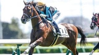 【シンザン記念・馬体重】ショーマンフリートは504kg(+18)、エコロブルームは464kg(-4)