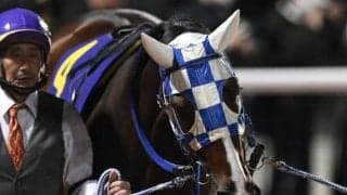 【浦和・ニューイヤーC枠順】好走続くライゾマティクスは8枠10番