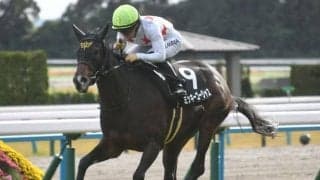 【愛知杯】ミッキーゴージャス、コスタボニータらが登録