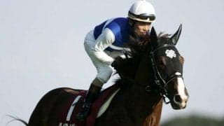 ダイワメジャー産駒がJRA通算1300勝達成！ JRA史上11頭目