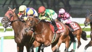 【日経新春杯】サトノグランツ、ブローザホーンらが登録