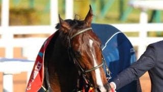 【シンザン記念】川田「能力の高さを見せてくれたレースだった」ノーブルロジャーがデビュ2連勝