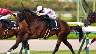 【愛知杯登録馬】ミッキーゴージャスなど15頭