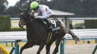 【愛知杯見どころ】ミッキーゴージャスが昇級初戦で重賞初制覇を狙う