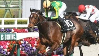 【日経新春杯見どころ】サトノグランツが重賞3勝目を狙う