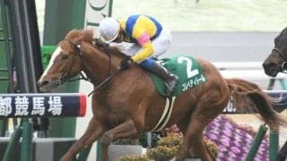 【京都金杯】売上は65億6342万4800円で昨年より約1億円増加