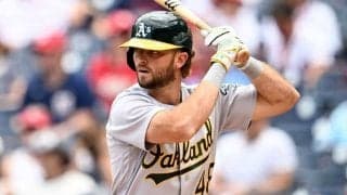 オリ、新外国人のトーマス獲得…昨年3Aで23発　ゴンザレス、セデーニョとは契約更新