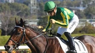 【日経新春杯想定騎手】サトノグランツは川田将雅騎手、ハーツコンチェルトは松山弘平騎手