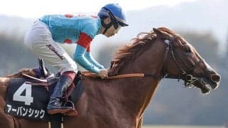 【京成杯想定騎手】アーバンシックは横山武史騎手、ジュンゴールドは坂井瑠星騎手