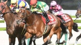 【日経新春杯予想オッズ】サトノグランツが予想1番人気