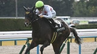 【愛知杯想定騎手】ミッキーゴージャスは川田将雅騎手、セントカメリアは西村淳也騎手