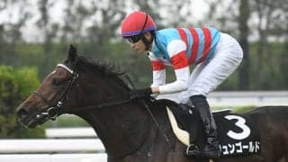 紫菊賞を3馬身半差完勝 友道康夫厩舎の注目馬が無傷京成杯Vへ