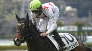 【愛知杯予想オッズ】ミッキーゴージャスが予想1番人気