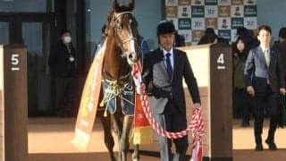 パレスマリス産駒から2頭目の重賞ウイナー ノーブルロジャーは米G1馬と同配合