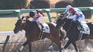 【新馬/中山4R】3連単241万円超のお年玉馬券炸裂…11番人気マコタイガがデビュー勝ち