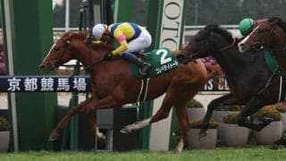 【京都金杯】コレペティトールが最内強襲！ゴール前の接戦を制する